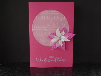 pink weihnachtsstern